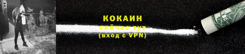 дарнет шоп  Данков  COCAIN VHQ 